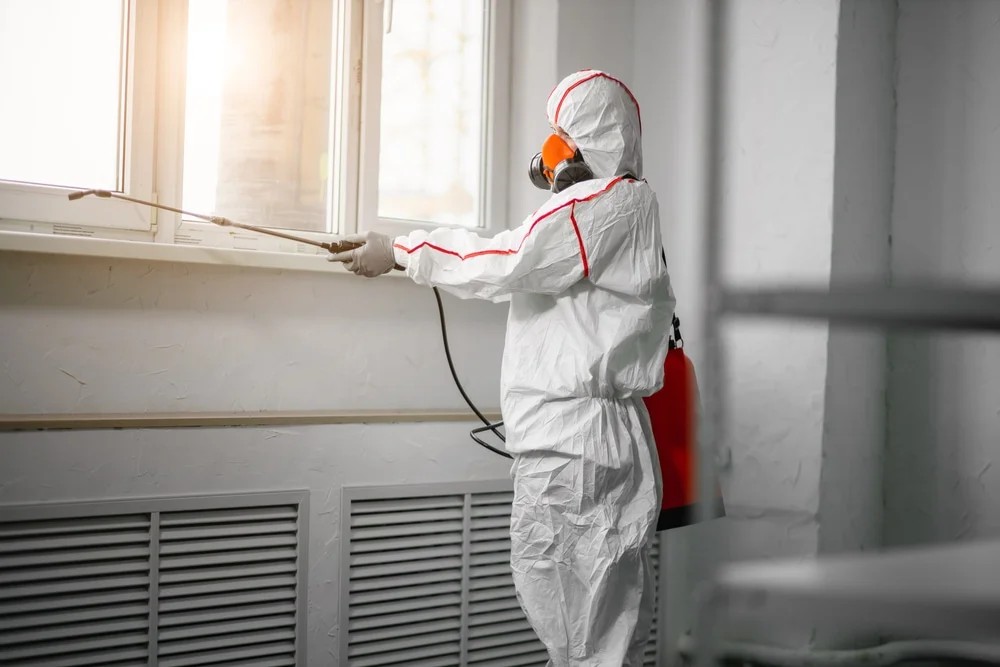 Professional mold remediation services in Defuniak Springs, FL